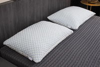 Kølende DreamPillow