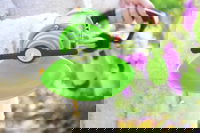 Trådløs græstrimmer