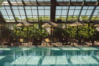 Rox Resort