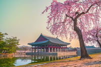 Sydkorea