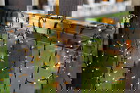 Solcelle LED-lyskæder